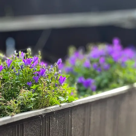 Kretschmanns Hotel 3*